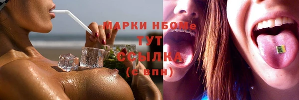 spice Каменка