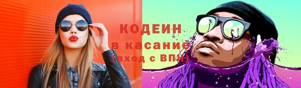spice Каменка