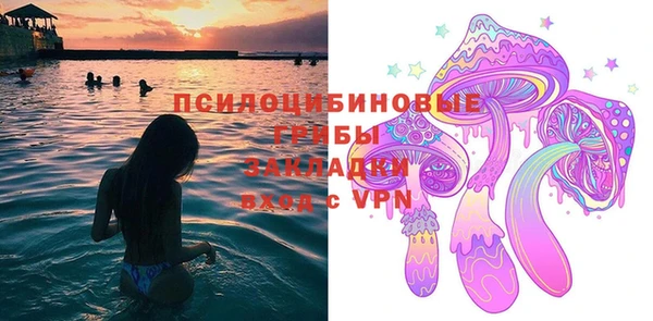 spice Каменка