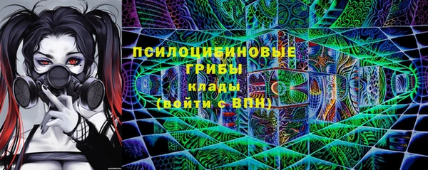 spice Каменка