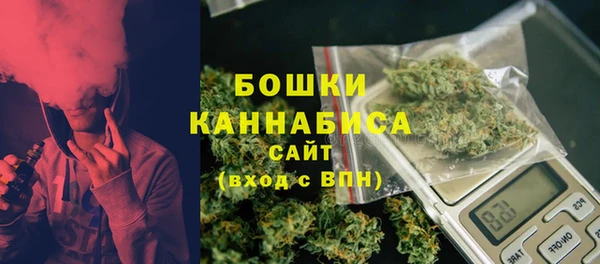 spice Каменка